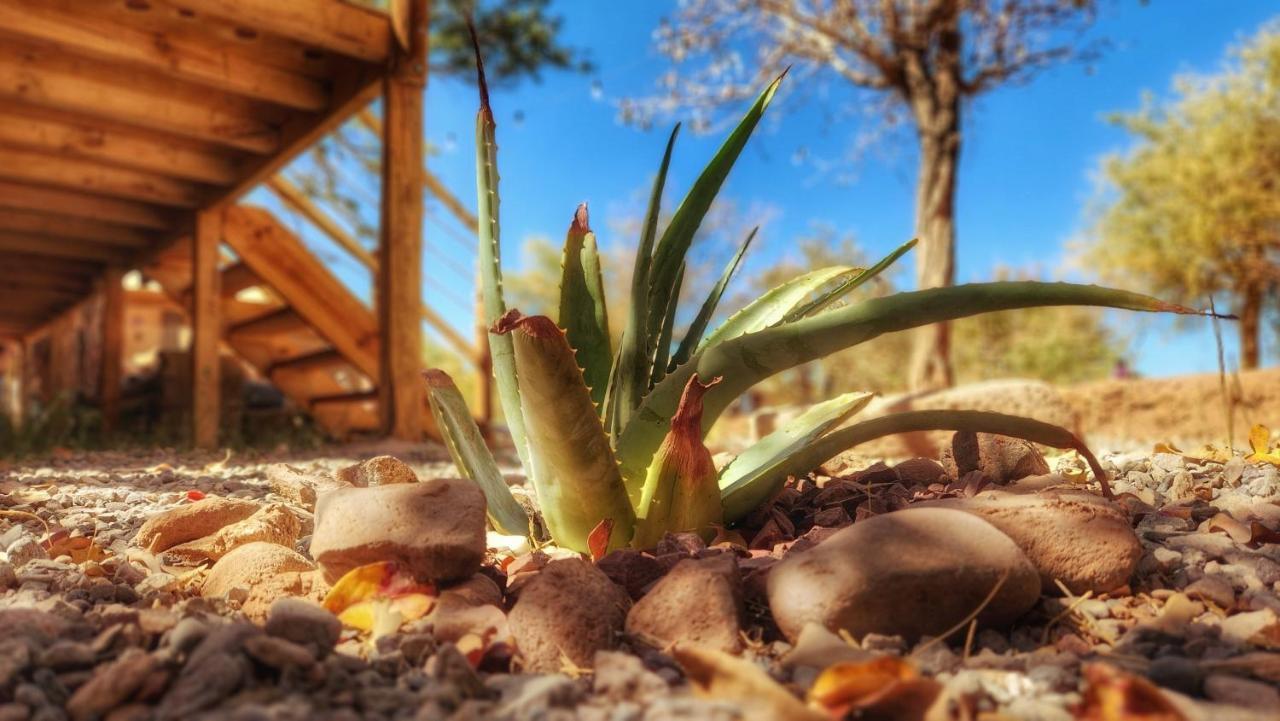Glamping Dunas Del Sol San Pedro de Atacama Exterior photo